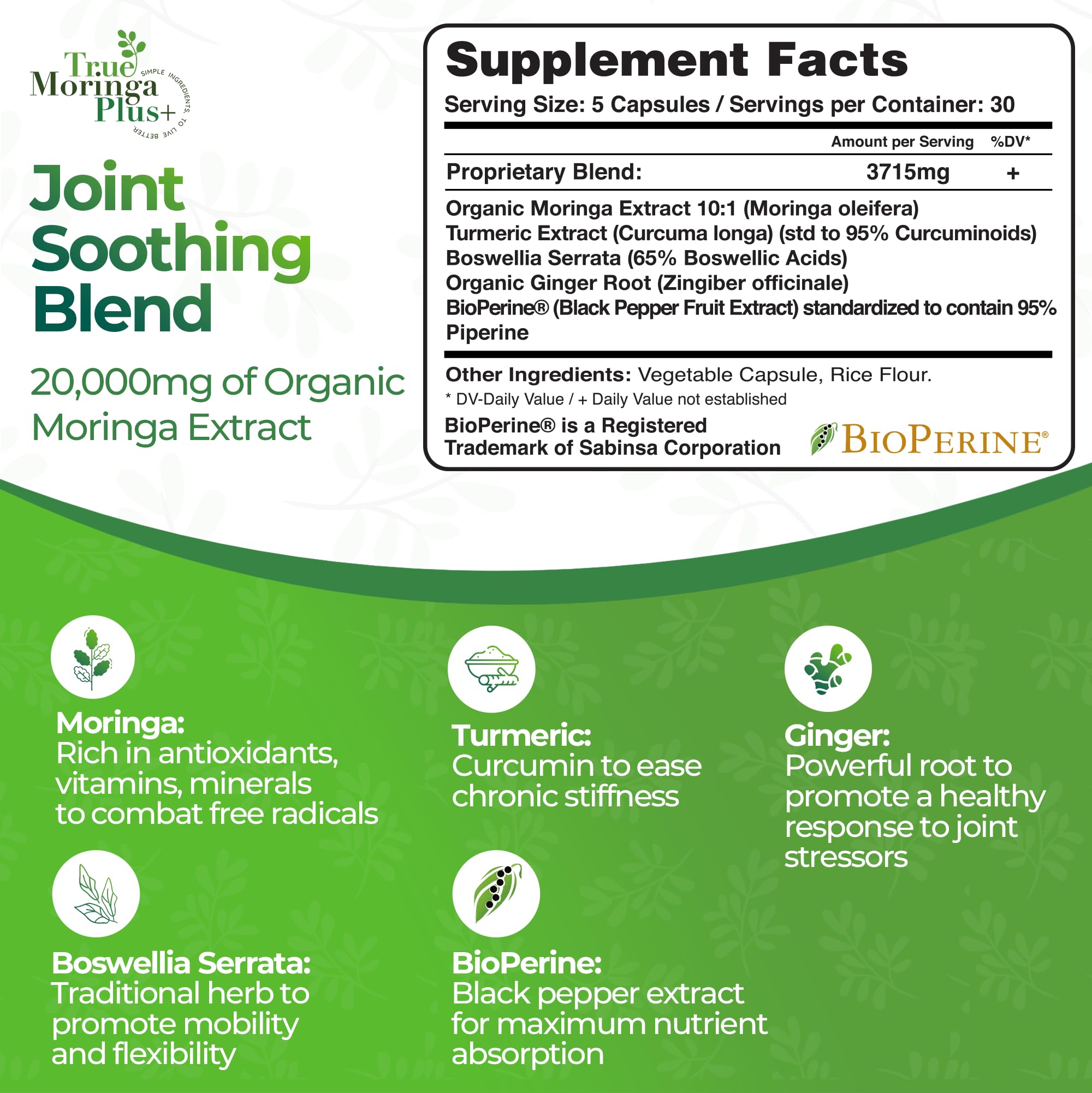 True Moringa Plus+ 10:1 extract capsules for potent antioxidant support
