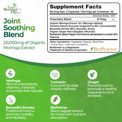 True Moringa Plus+ 10:1 extract capsules for potent antioxidant support