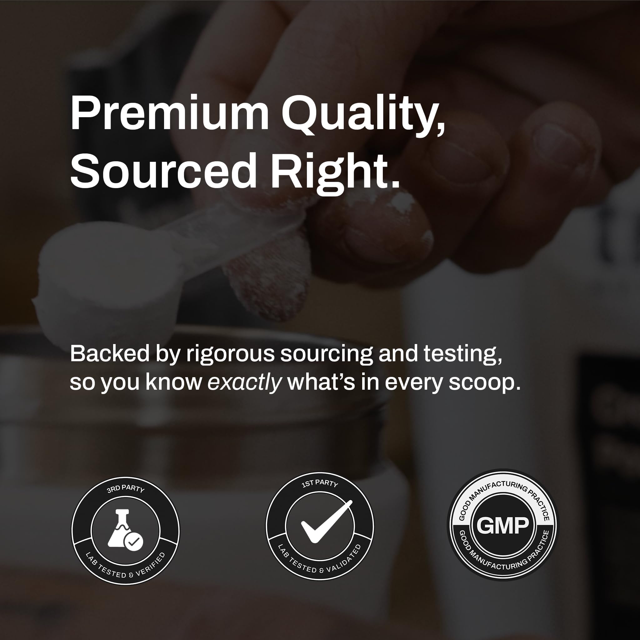 True Nutrition Whey Protein Concentrate shaker ready for workouts.