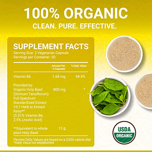 Capsules stacked to show high-strength herbal supplement by True Veda