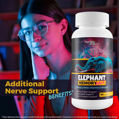 Ginkgo biloba component closeup supporting brain function