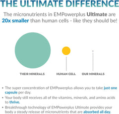 Truehope ingredients spectrum graphic illustrates cofactor synergy for better utilization.