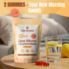 TrueSeaMoss Gummies daily-usage-scene showing simple routine.