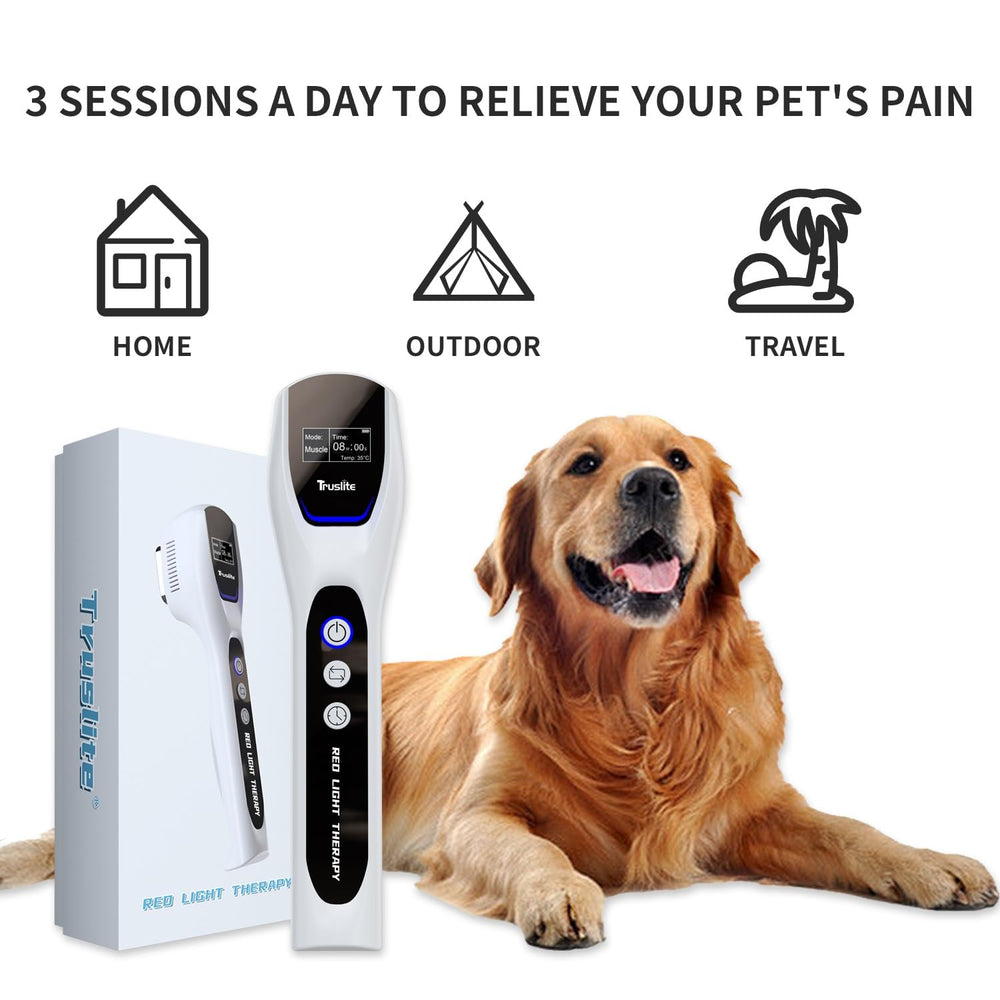 Truslite at-home pet therapy setup supports calm, regular sessions.