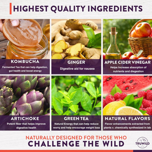 TruWild Kombucha Powder dissolving in water for convenient daily use.