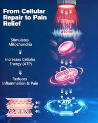 TUOYR ankle and foot treatment wearable during daily activities.