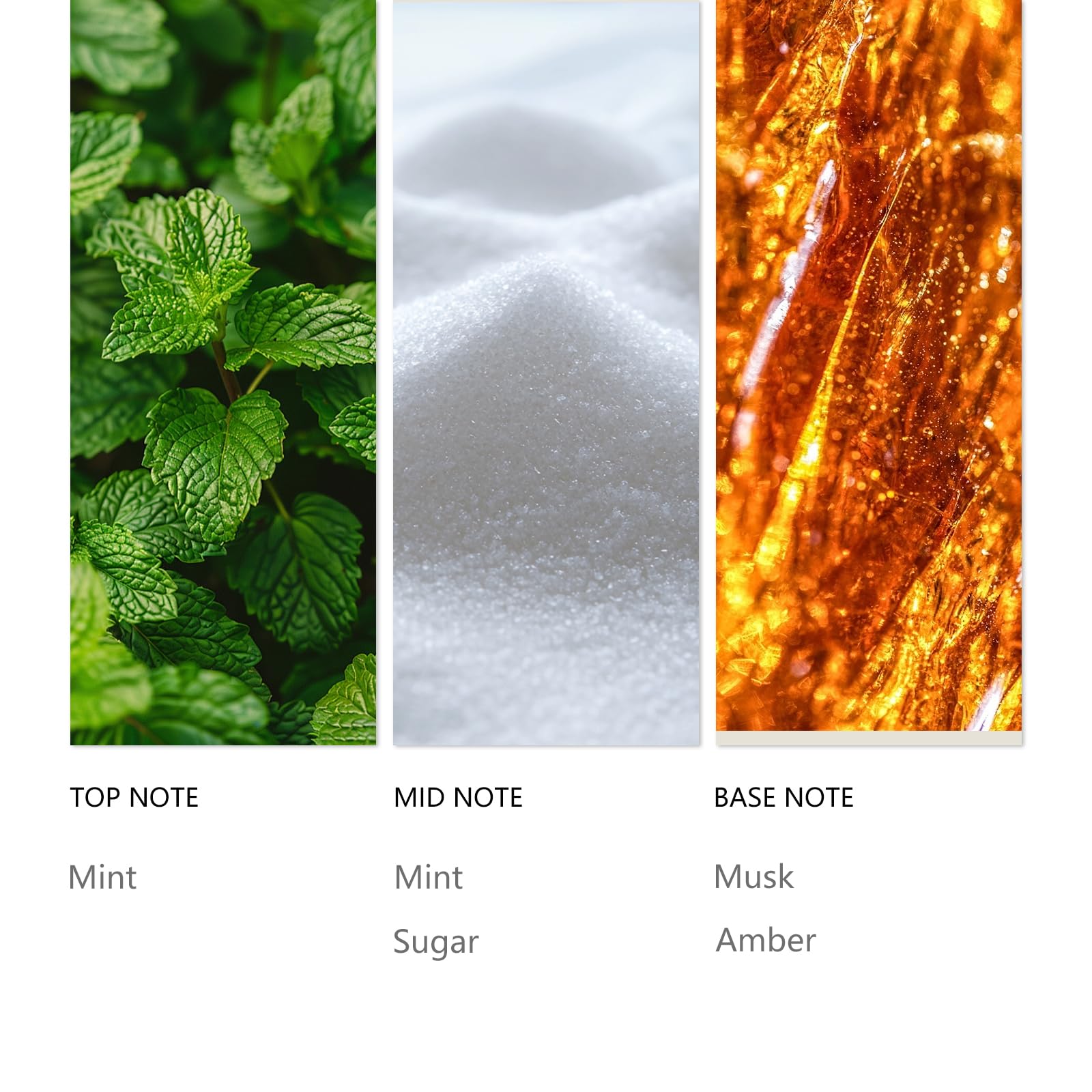 Tuqila Candy Mints fragrance closeup for minty-sweet scent in living areas.
