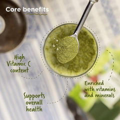Two Brothers India Farms Moringa powder scoop image for easy daily measurement