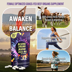 tzaxyan capsules close-up highlighting hormone-supporting organ blend for energy and balance