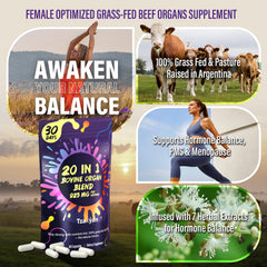 tzaxyan women uterus ovary beef organ image illustrating targeted support for reproductive health