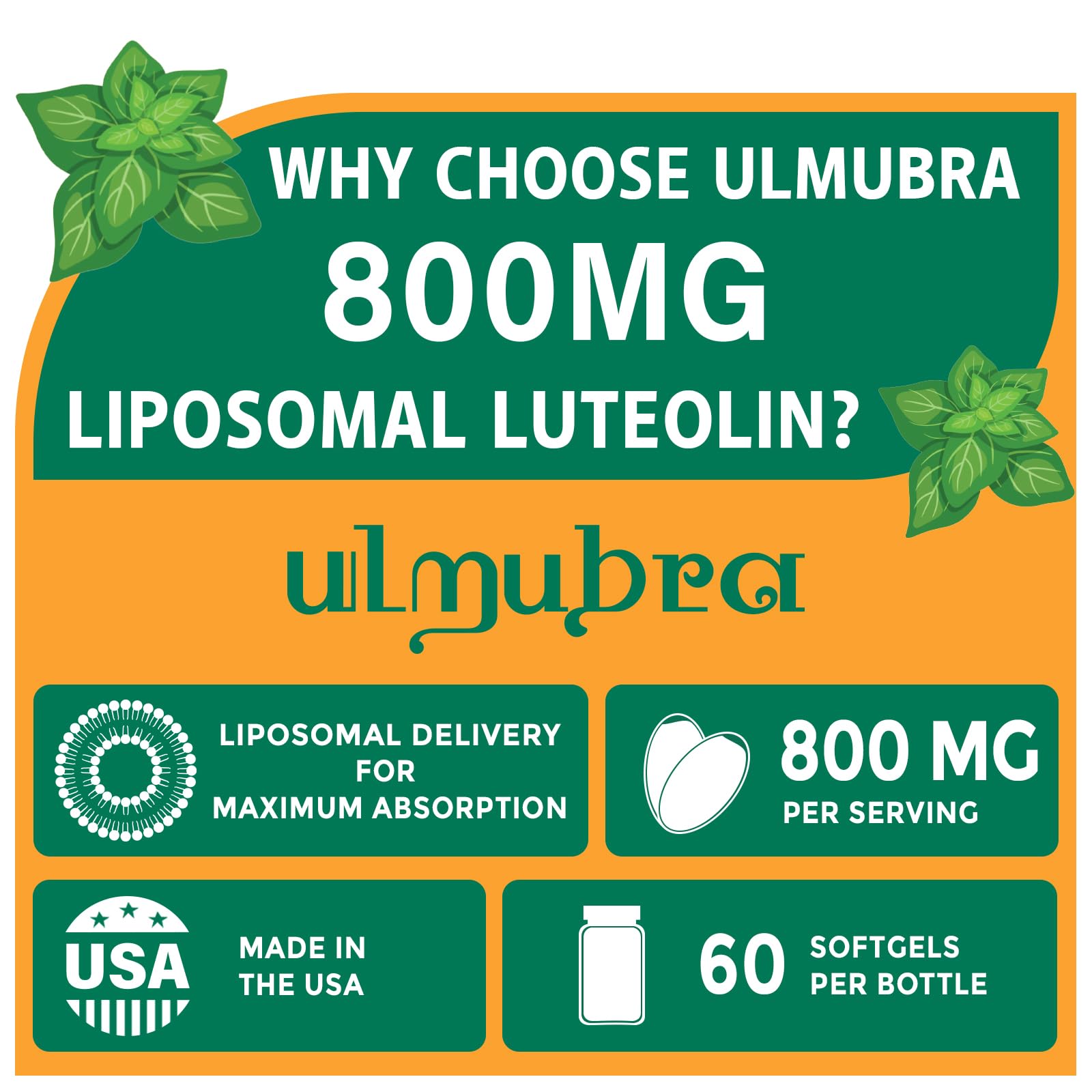 Ulmubra 800MG capsules close-up shows easy-to-swallow design for convenient daily use.