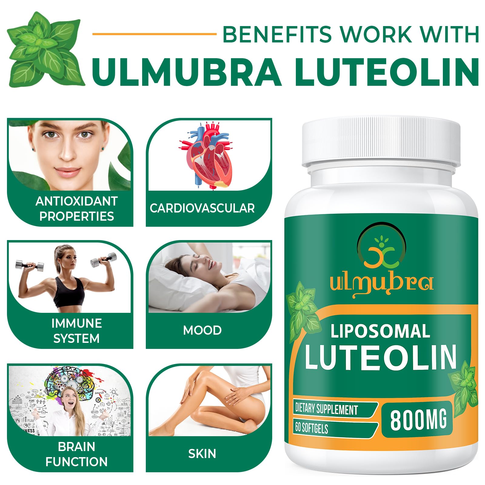 Close-up label details emphasize 800 mg potency and non-GMO, soy-free attributes.