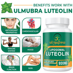 Close-up label details emphasize 800 mg potency and non-GMO, soy-free attributes.