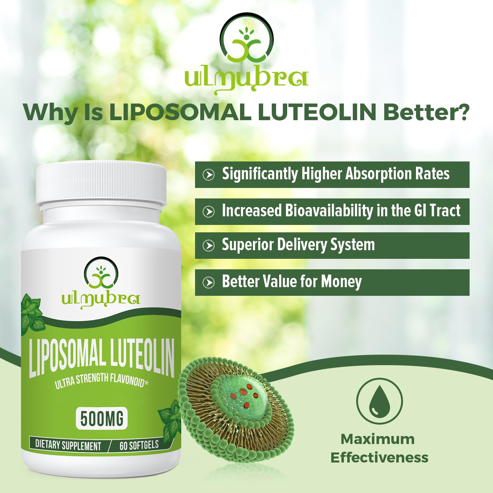 Close-up of Ulmubra liposomal luteolin softgels for easy swallowing.