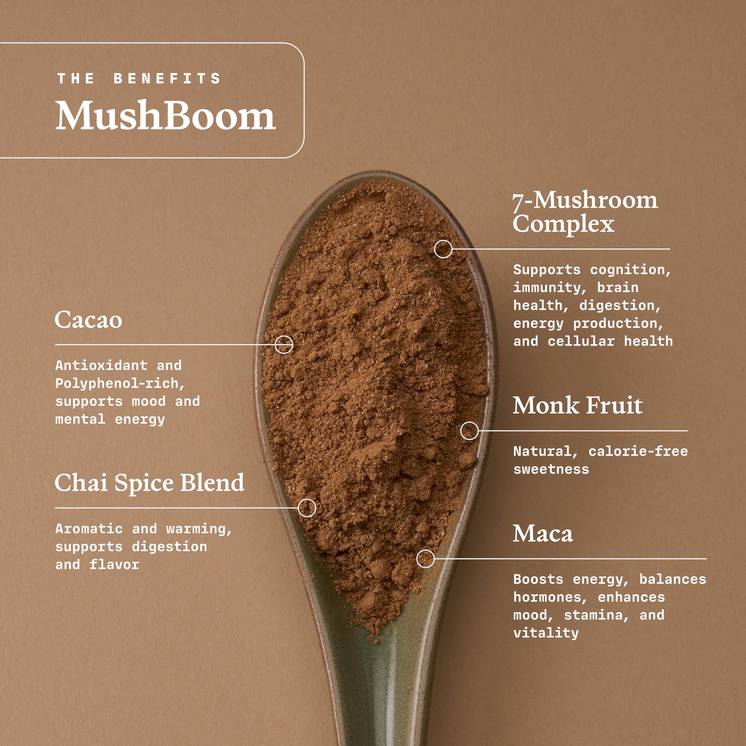 Ultra Life Sport MushBoom close-up of mushroom blend ingredients for daily vitality
