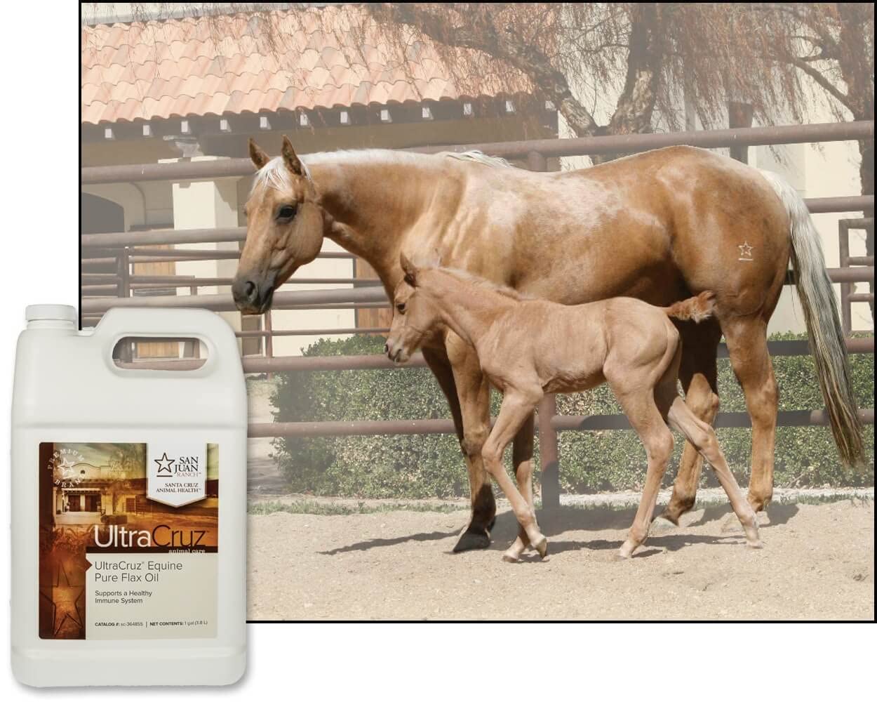 UltraCruz Equine Pure Flax Oil poured into horse feed.