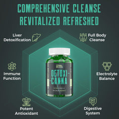 Lifestyle setup showing daily detox as part of a busy day