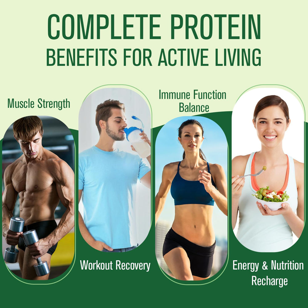Ultraverixian plant protein sources panel outlines pea, rice, pumpkin, chia, flax.