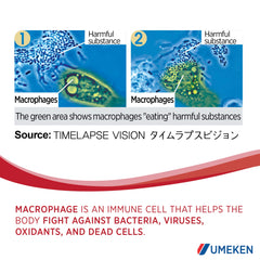 Umeken Lipopo ingredients list featuring lipopolysaccharide, beta-glucan, lactic acid bacteria, and vitamin C.