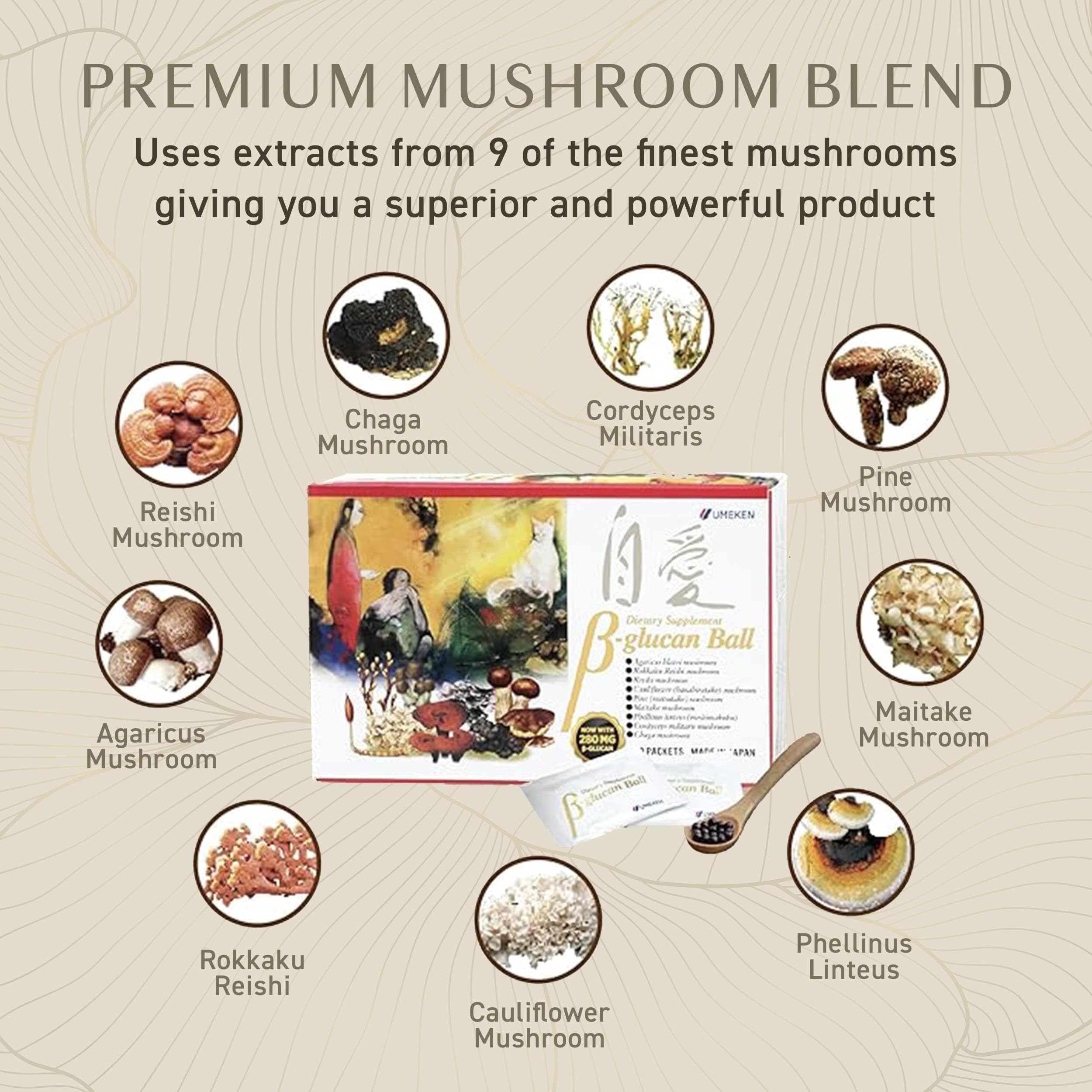 Nine-mushroom blend from Umeken highlighting Reishi, Maitake and others.