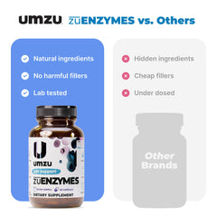 UMZU zuEnzymes gut health graphic illustrating nutrient absorption support