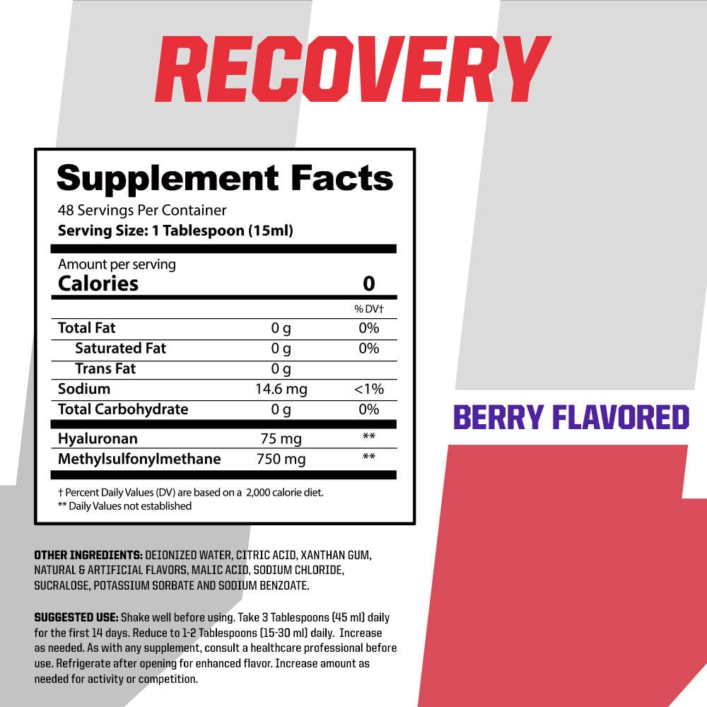 Undefined Nutrition Recovery HA-MSM ingredients close-up highlighting joint health support.
