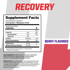 Undefined Nutrition Recovery HA-MSM ingredients close-up highlighting joint health support.