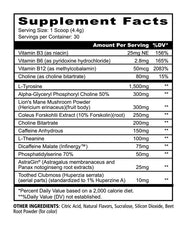 Panda Supps Focus scoop highlighting Lion’s Mane and L-Tyrosine for clarity and mood.