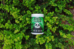 Underground Bio Labs Panda Supps immune-energy blend bottle hints daily vitality and immune-friendly nutrition.