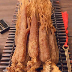 Unknown Red Ginseng Rhizome showcasing growth pattern for infusion ideas