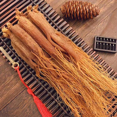 Unknown Red Ginseng Root slices ready for tea or infusion