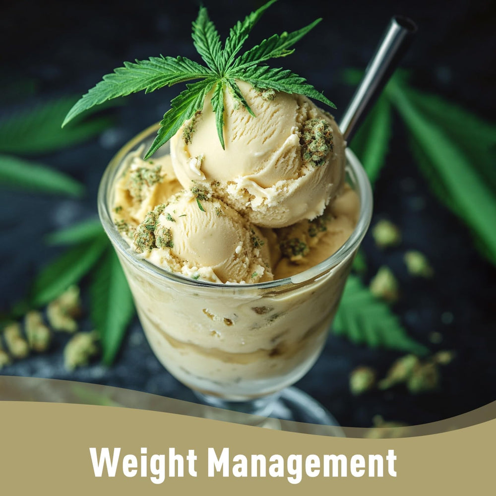 Serving scoop near unopened tub communicates freshness and purity.
