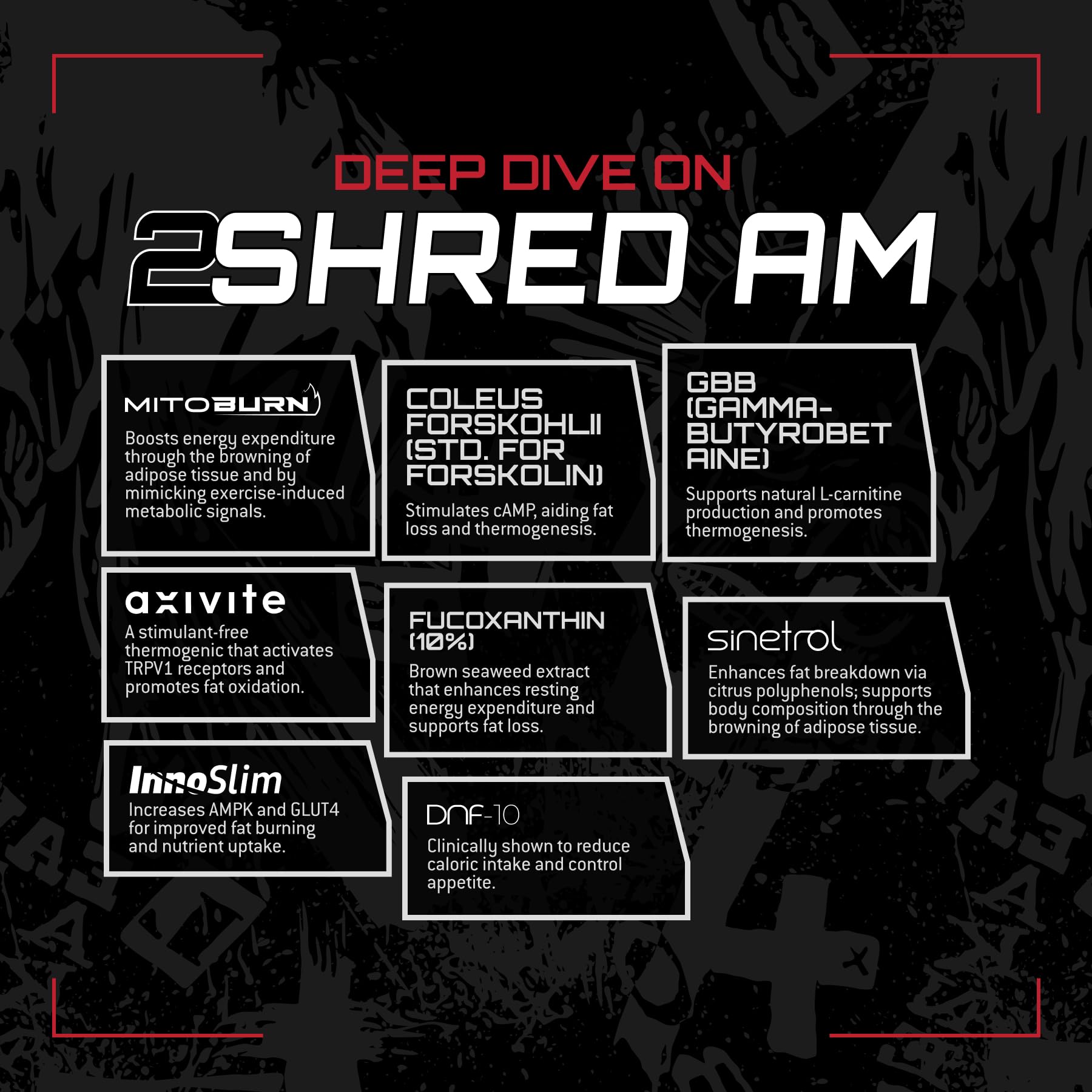 Unmatched 2Shred PM capsules designed for evening appetite control.