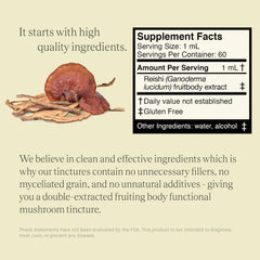 UPHORIC URTH Reishi small batch production scene