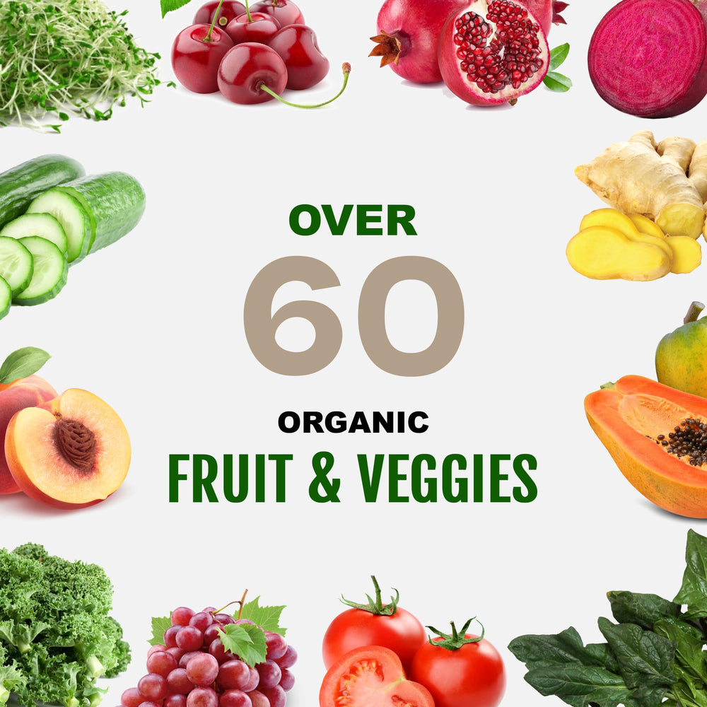 UpNourish Vegan Protein Vanilla bag front highlights 62 organic ingredients.