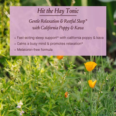 Close-up of Urban Moonshine Hit The Hay liquid blend highlighting calming herbs.