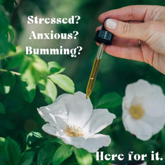 Urban Moonshine Joy Tonic dropper in use for fast-acting calm