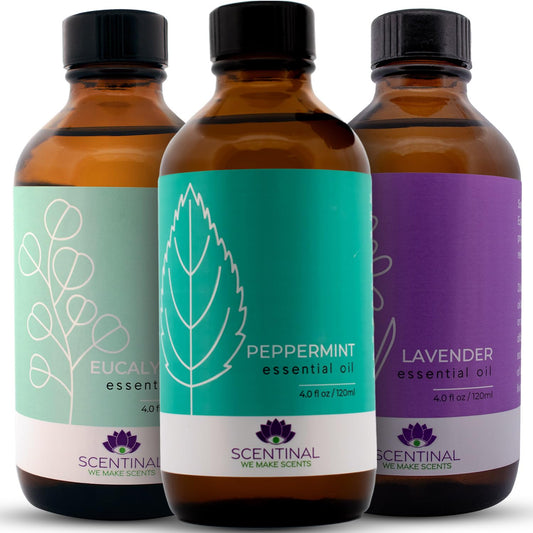 Urban Sombrero Scentinal peppermint oil bottle showing pure essential oil for aromatherapy