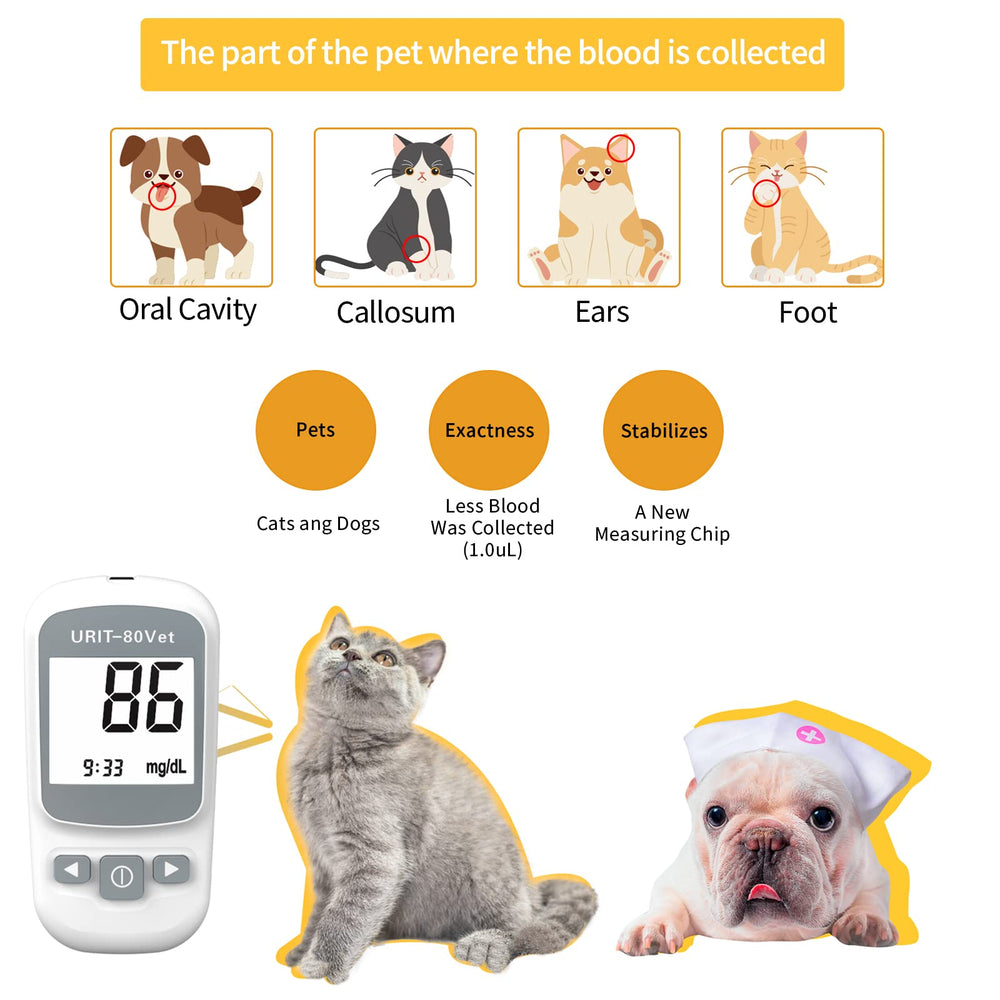 URIT 80Vet display shows fast readings for quick pet health checks.