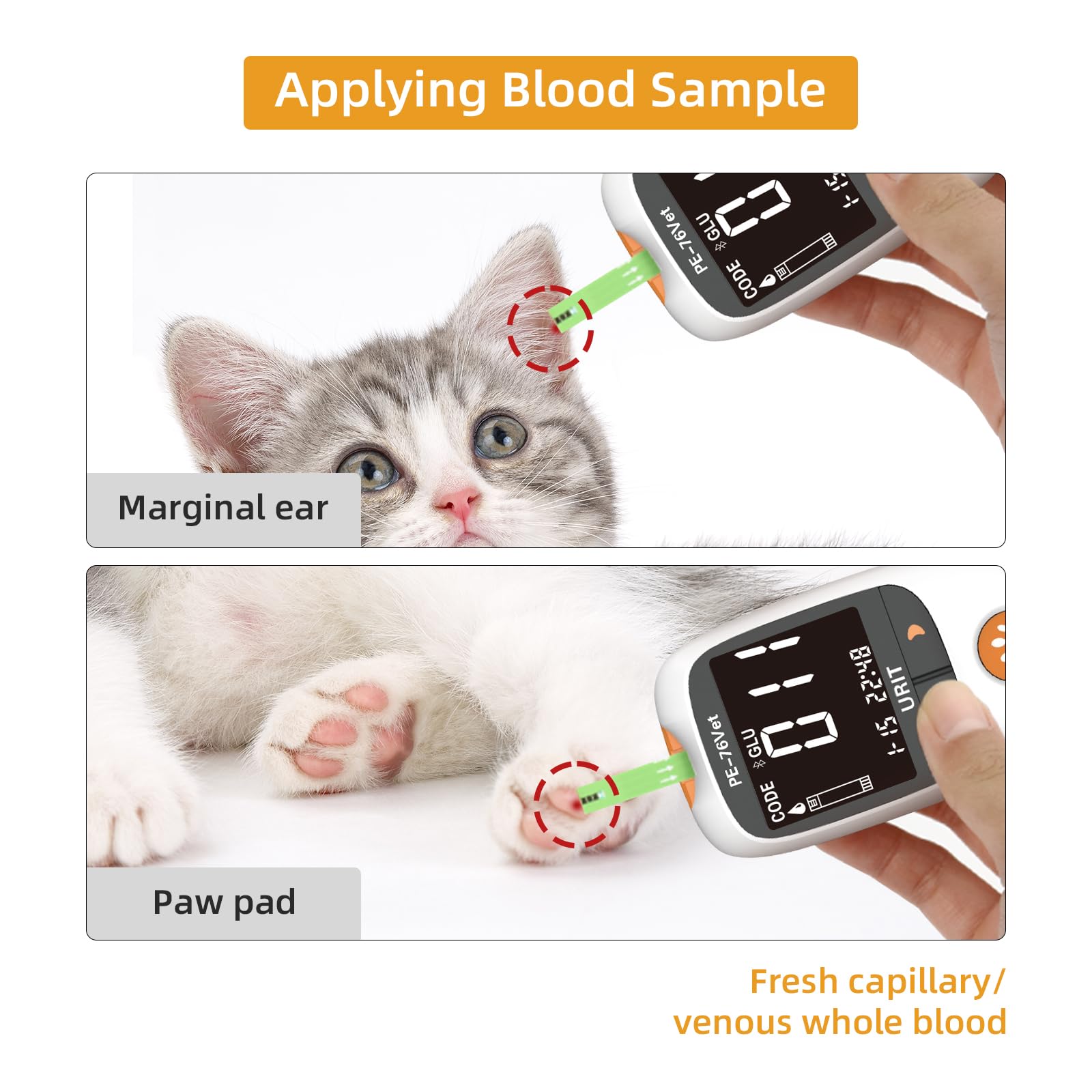 URIT glucose meter kit for cats, compact design enabling precise readings at home or clinic.