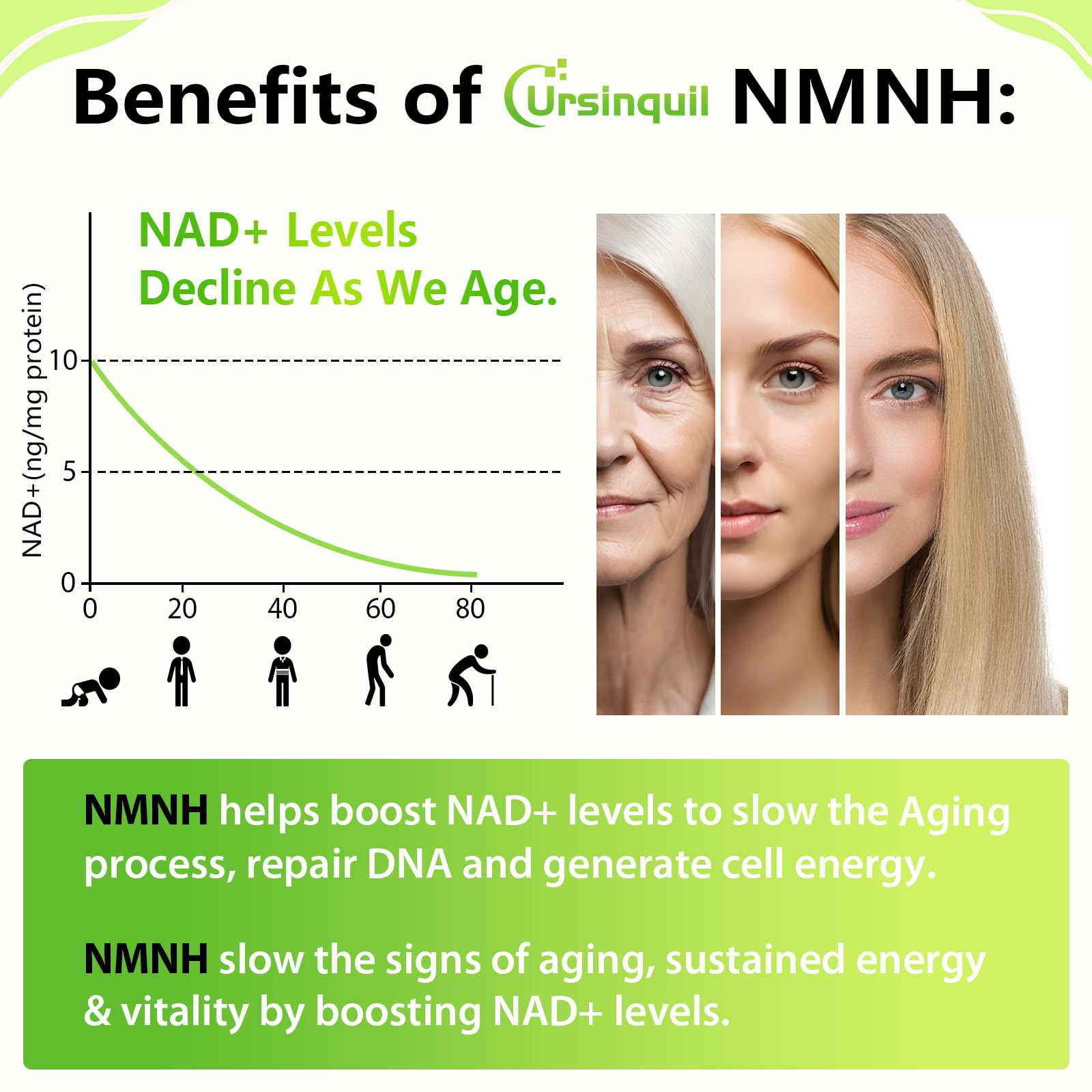 Ursinquil NMNH lozenge close-up showing sublingual delivery.