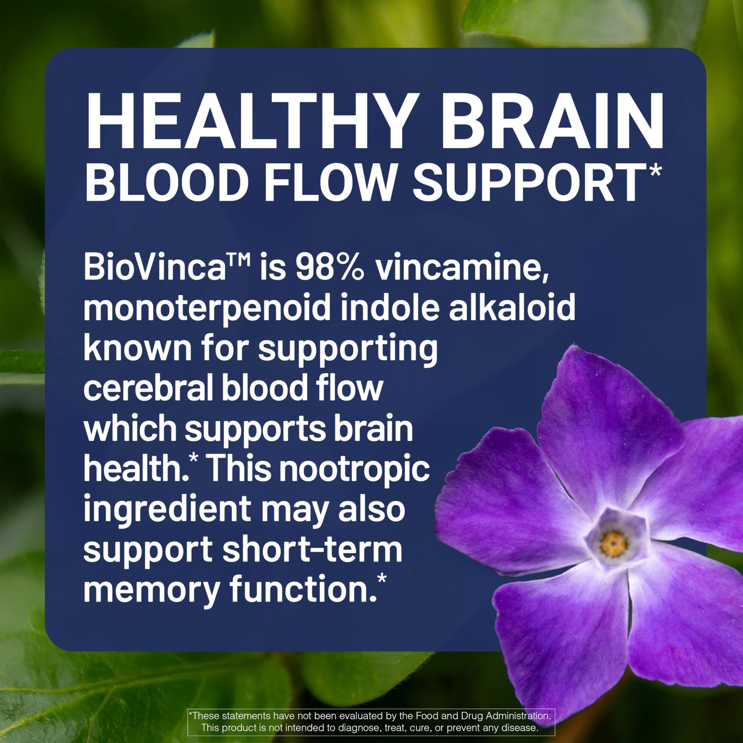 BrainPower Advanced ingredients array with botanicals and amino acids