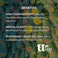Utzy Naturals Rhodiola bottle top close-up with easy dosing.