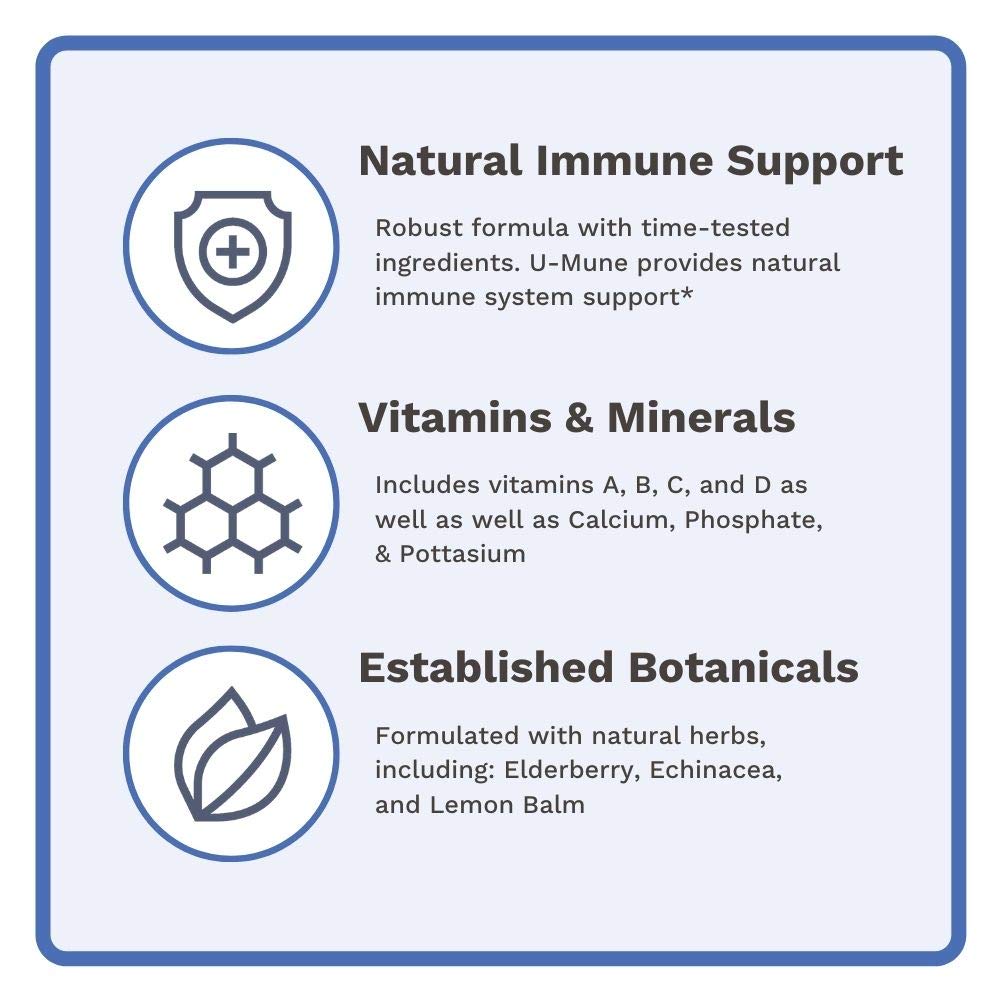 Ingredients spread featuring oregano, echinacea, and berries with Utzy Naturals.