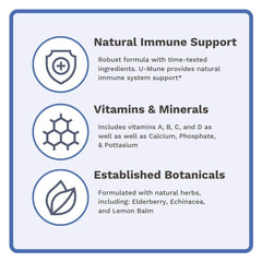 Ingredients spread featuring oregano, echinacea, and berries with Utzy Naturals.