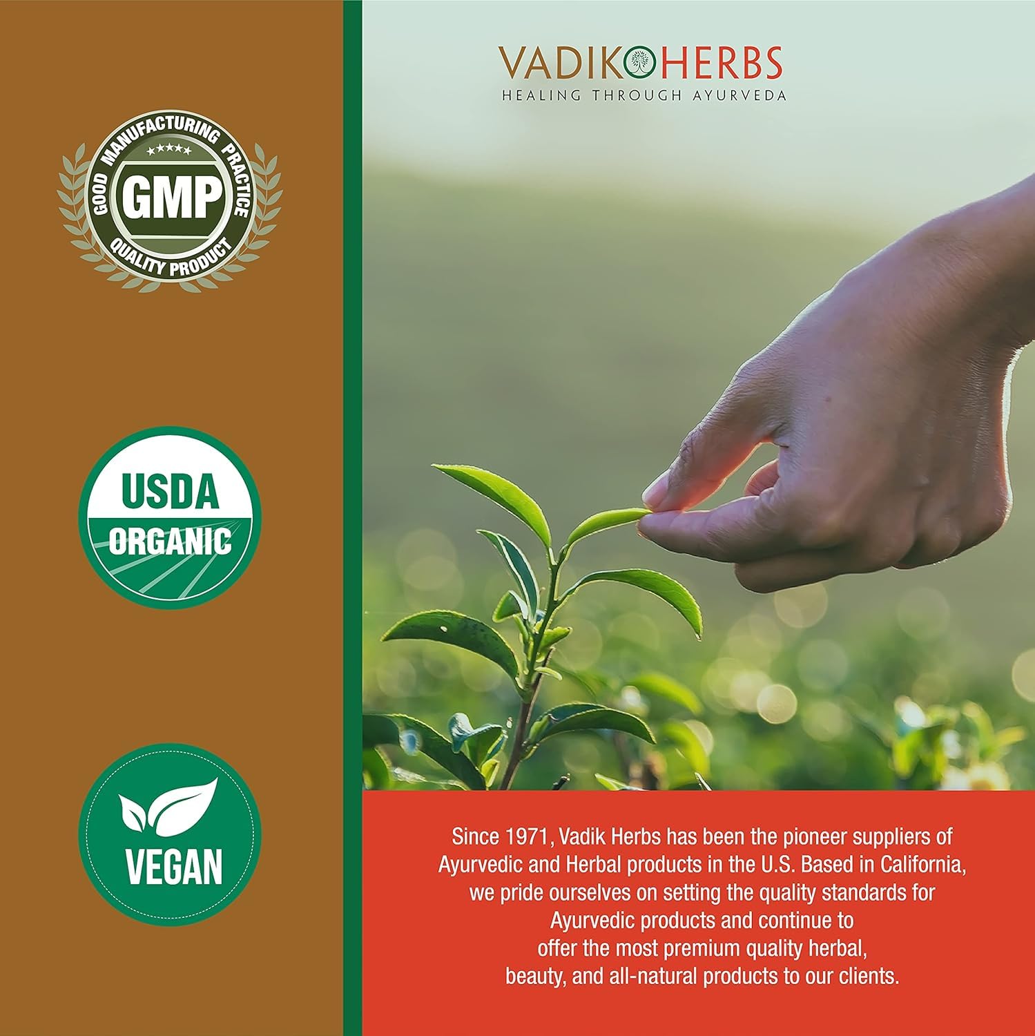 Brand trust since 1971—Vadik Herbs Vidanga product line.