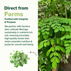 VAHDAM Moringa capsules with vegan, gluten-free, non-GMO indicators.