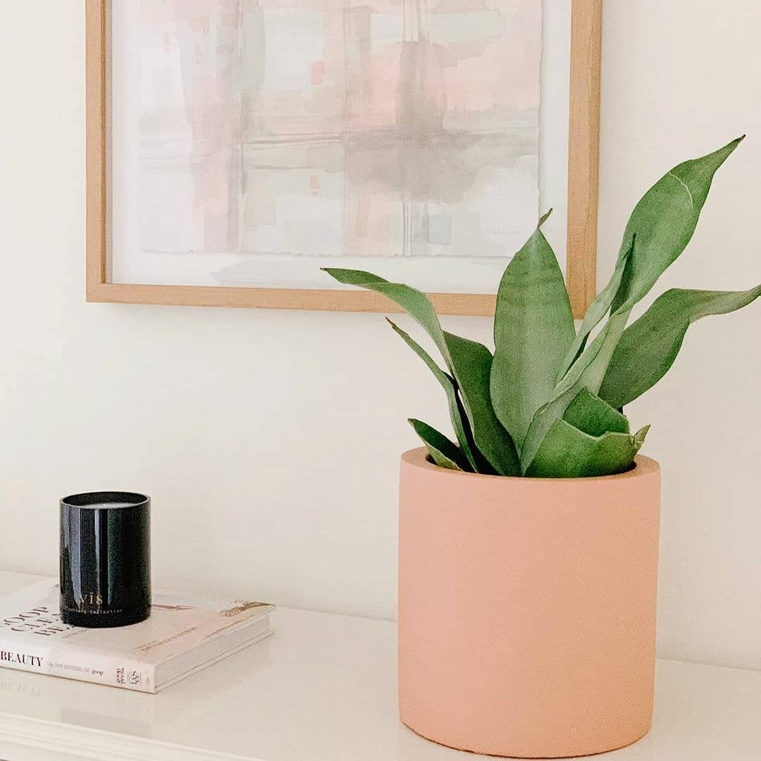 Warm fragrance diffusion in a small space with Vis Discovery Candle
