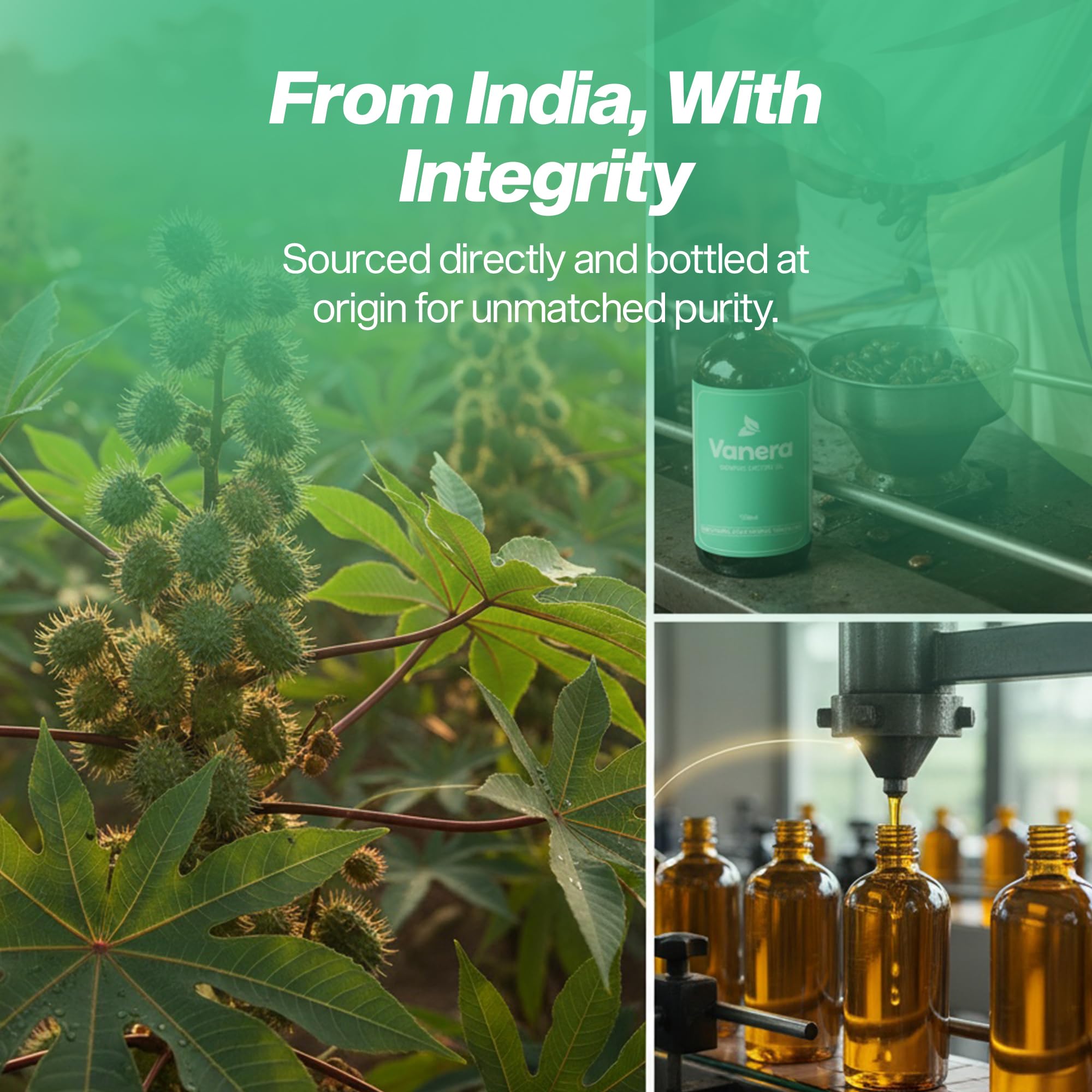 Vanera Castor Oil ingredients label details supplier-certified organic quality.