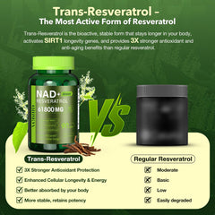 VCBIRD Energy-Focus graphic showing daily mental clarity and steady energy for professionals